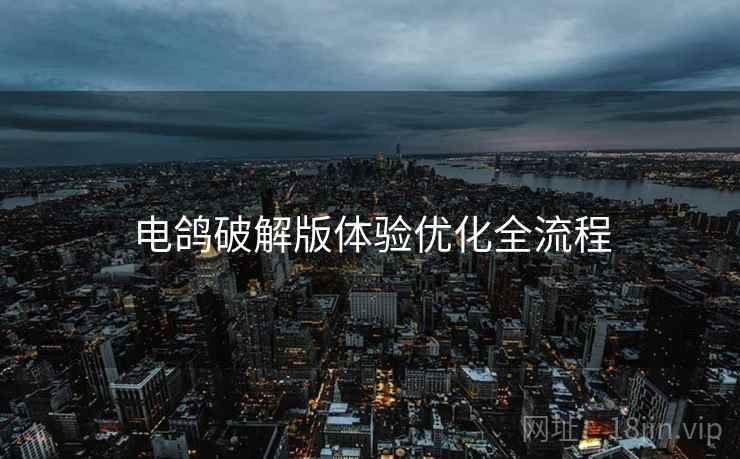 电鸽破解版体验优化全流程