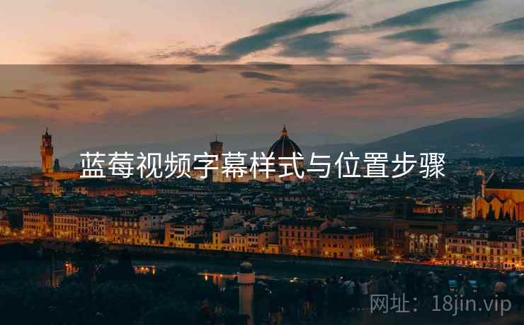 蓝莓视频字幕样式与位置步骤