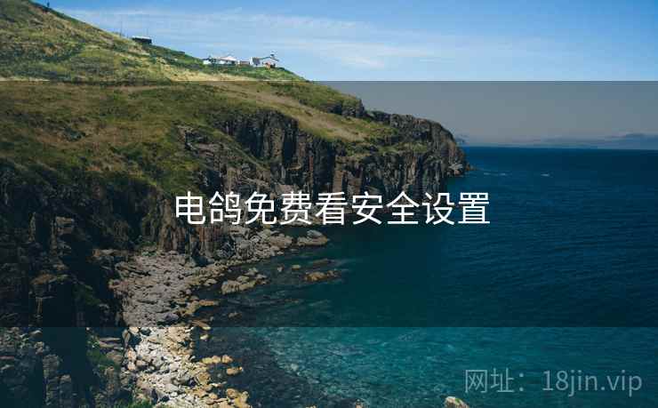 电鸽免费看安全设置