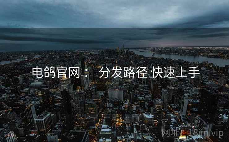 电鸽官网 ： 分发路径 快速上手