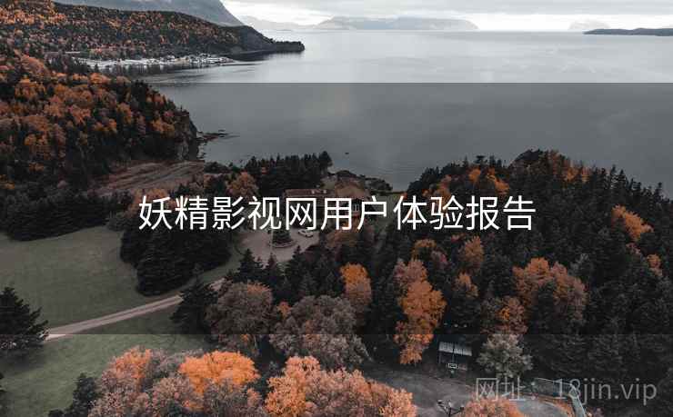 妖精影视网用户体验报告