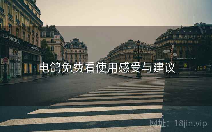 电鸽免费看使用感受与建议