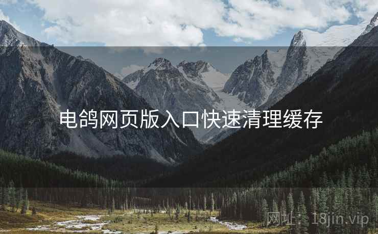 电鸽网页版入口快速清理缓存