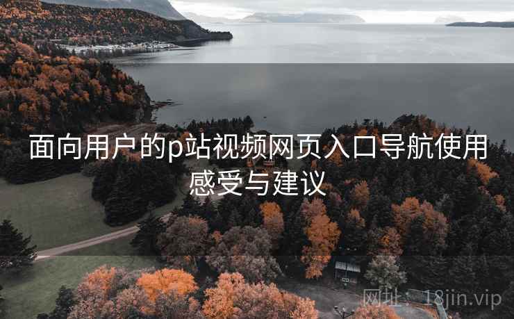 面向用户的p站视频网页入口导航使用感受与建议