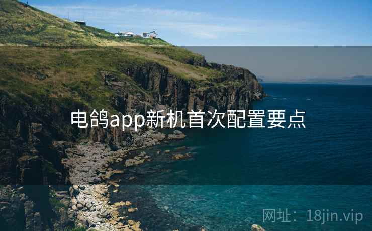 电鸽app新机首次配置要点