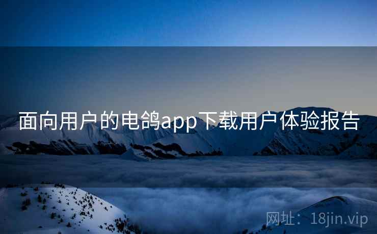 面向用户的电鸽app下载用户体验报告