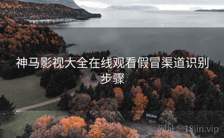 神马影视大全在线观看假冒渠道识别步骤