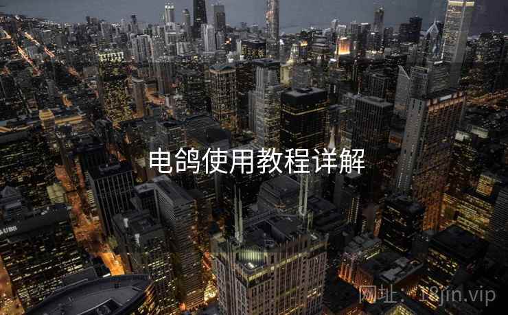 电鸽使用教程详解