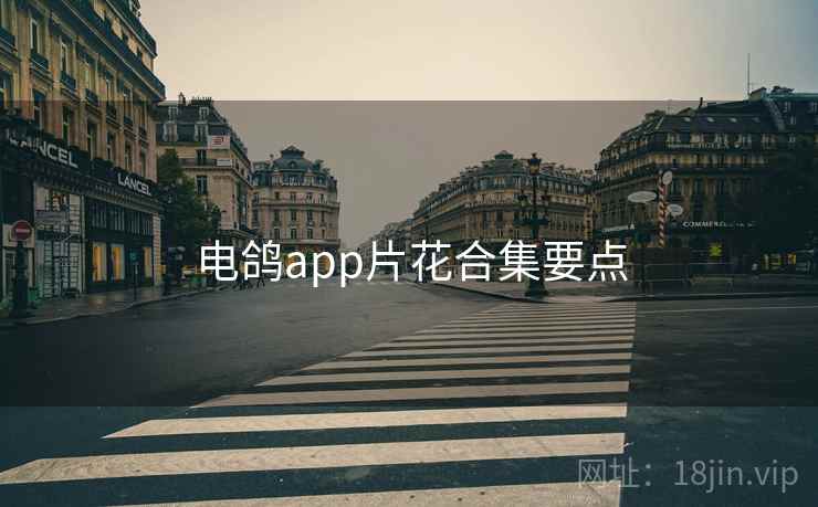 电鸽app片花合集要点