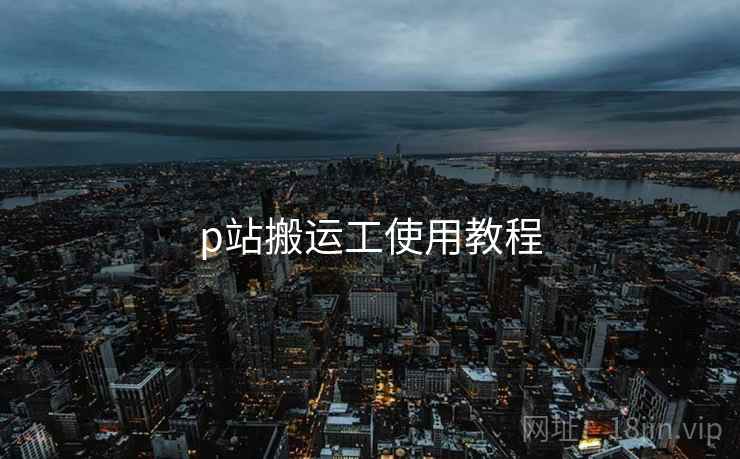 p站搬运工使用教程