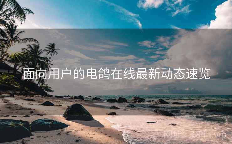 面向用户的电鸽在线最新动态速览