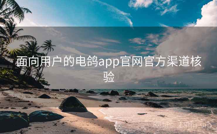 面向用户的电鸽app官网官方渠道核验